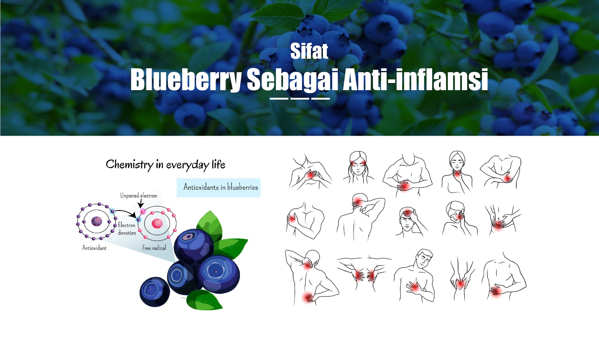 Education content image